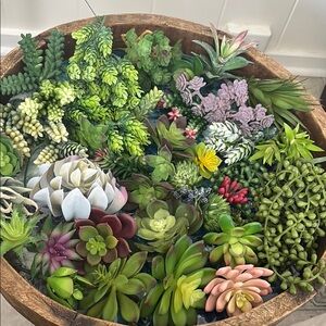 Artificial Succulent - 50 pieces